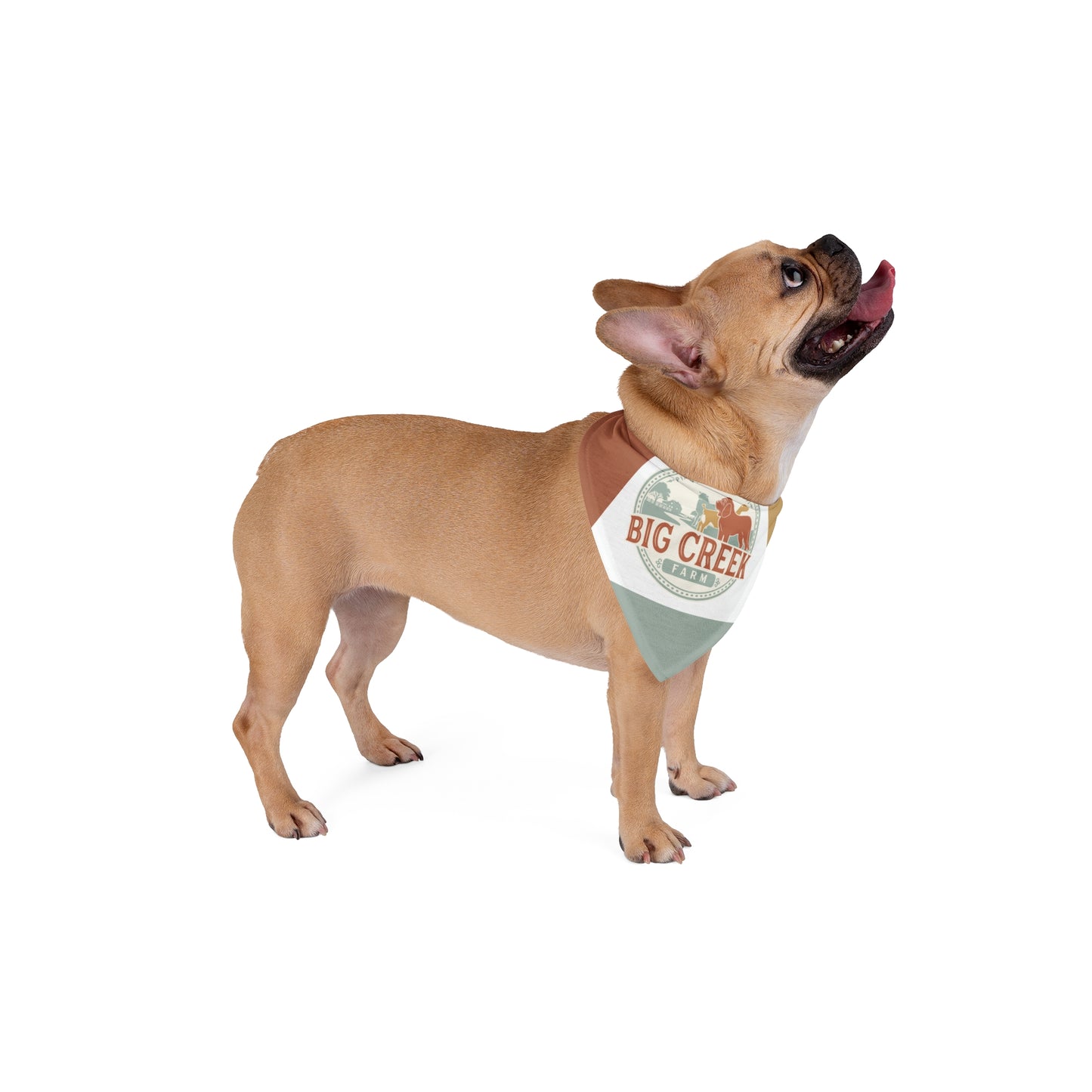 Big Creek Farm Pet Bandana