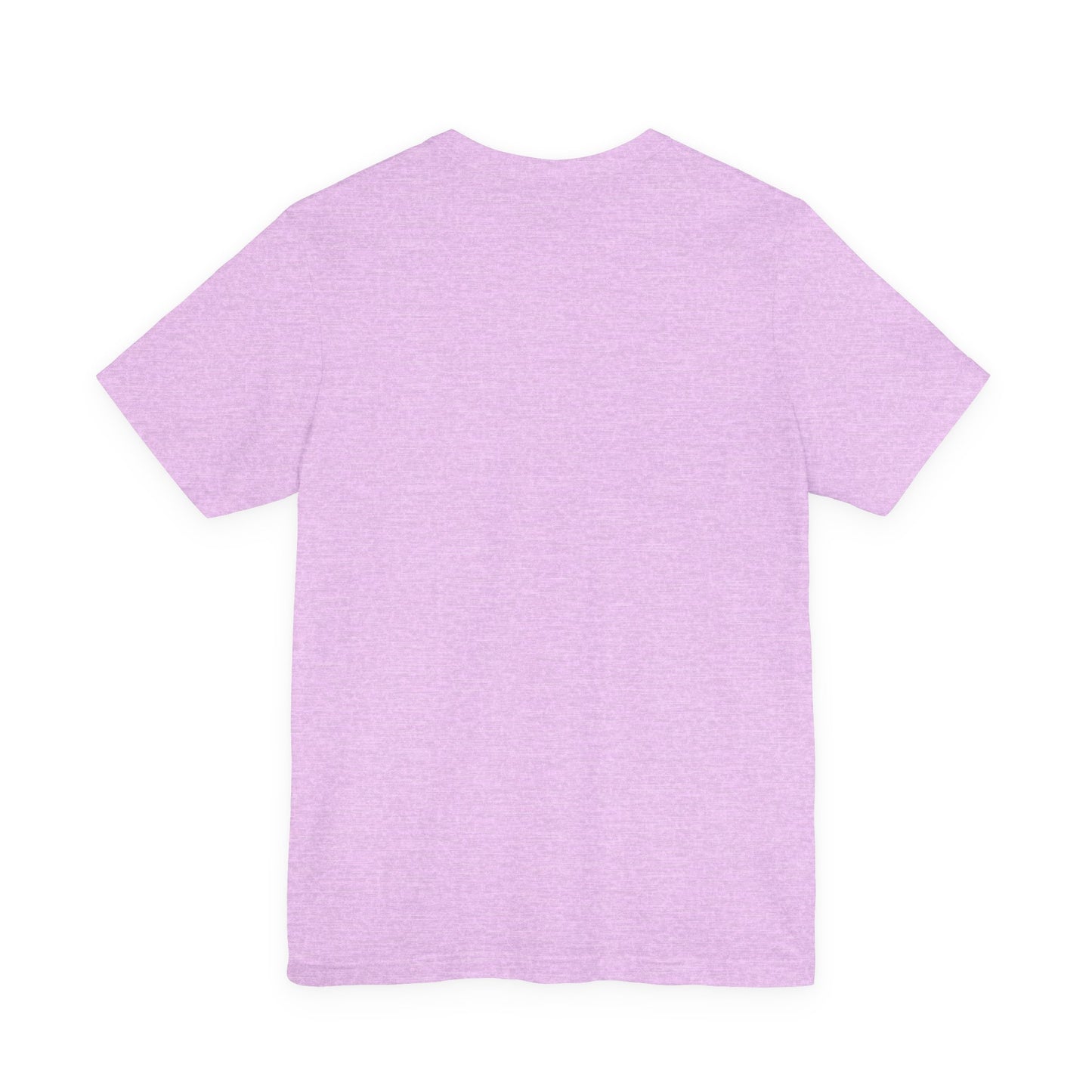 Sir Goose Unisex Tee